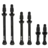 Kit De Valves Tubeless Fulcrum 2-Way Fit 44 Mm 2 Kit De Valves Tubeless Fulcrum 2-Way Fit 44 Mm -VTT Petitprix kit de valves tubeless fulcrum 2 way fit 44 mm