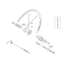 Rayon Shimano Ultegra WH6700 - Arrière (x1)