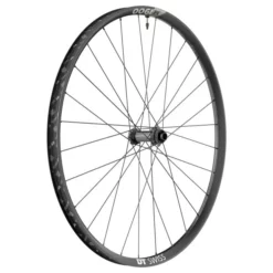 Dt-swiss Roue VTT Avant DT Swiss M 1900 Spline 29"